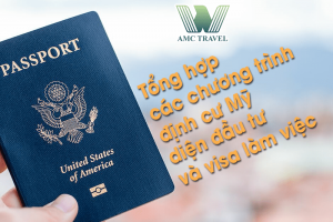 Tổng hợp các chương trình định cư Mỹ diện đầu tư và visa làm việc.