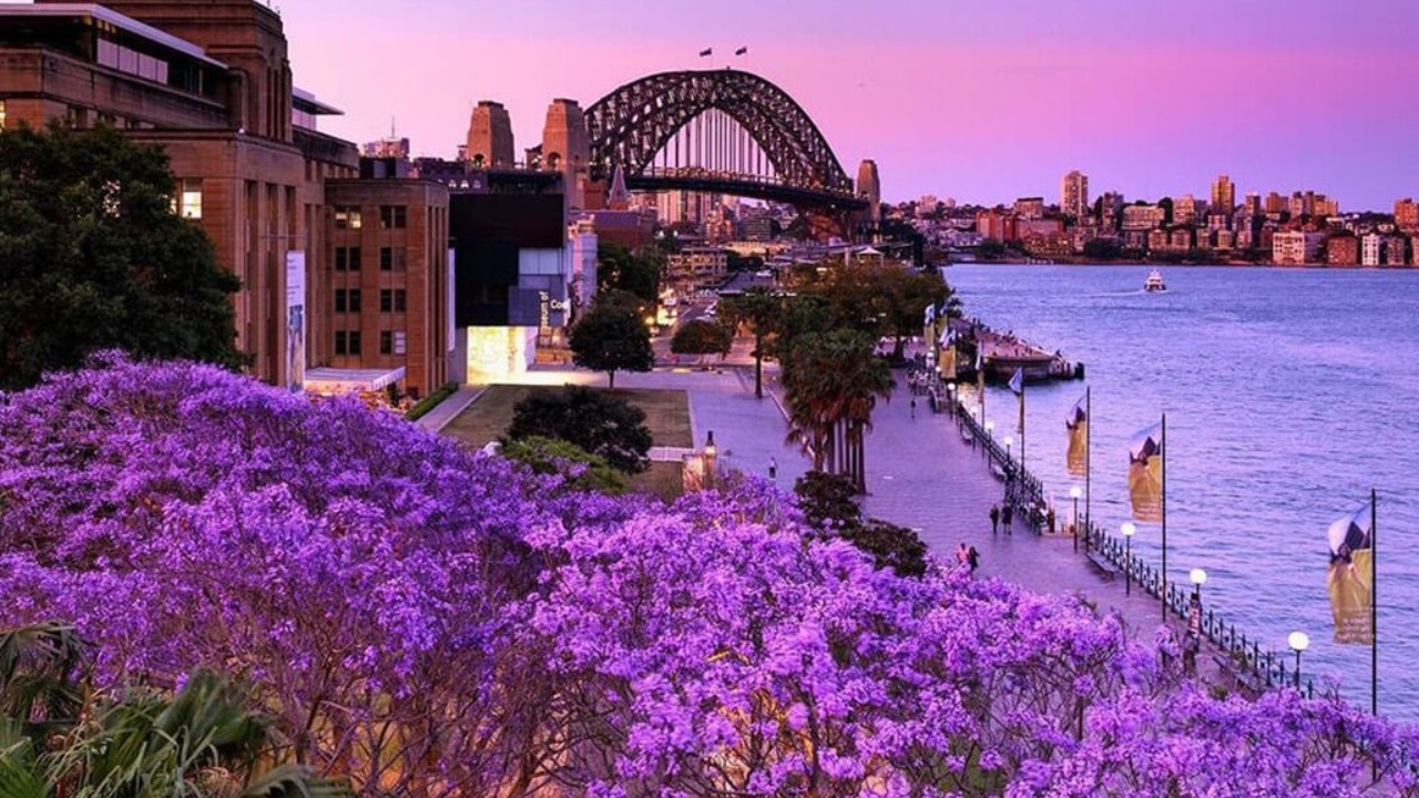 AUSTRALIA – MONO SYDNEY